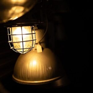 Lamp Vintage
