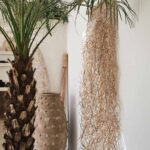 Muurbekleding Raffia
