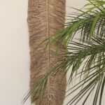 Raffia Veer Lang